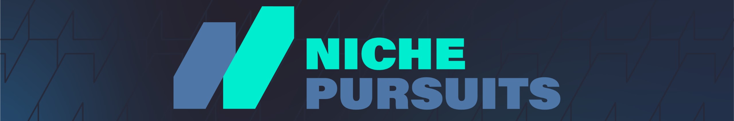Niche Pursuits YouTube channel banner