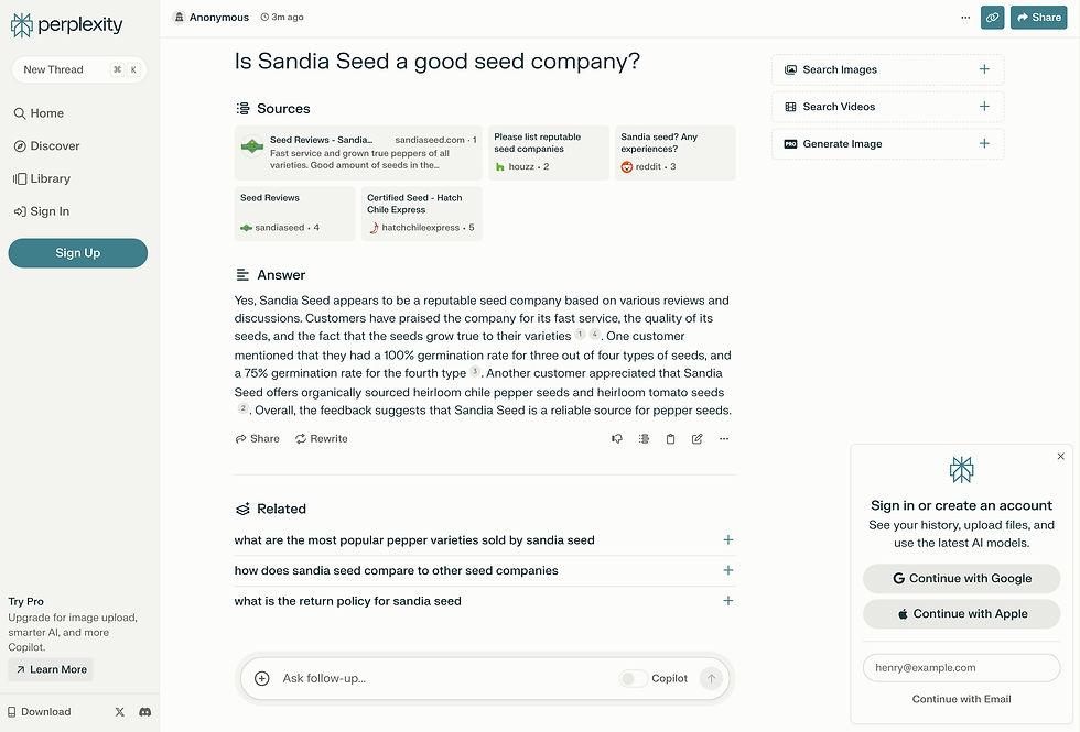 track local recommendations in perplexity
